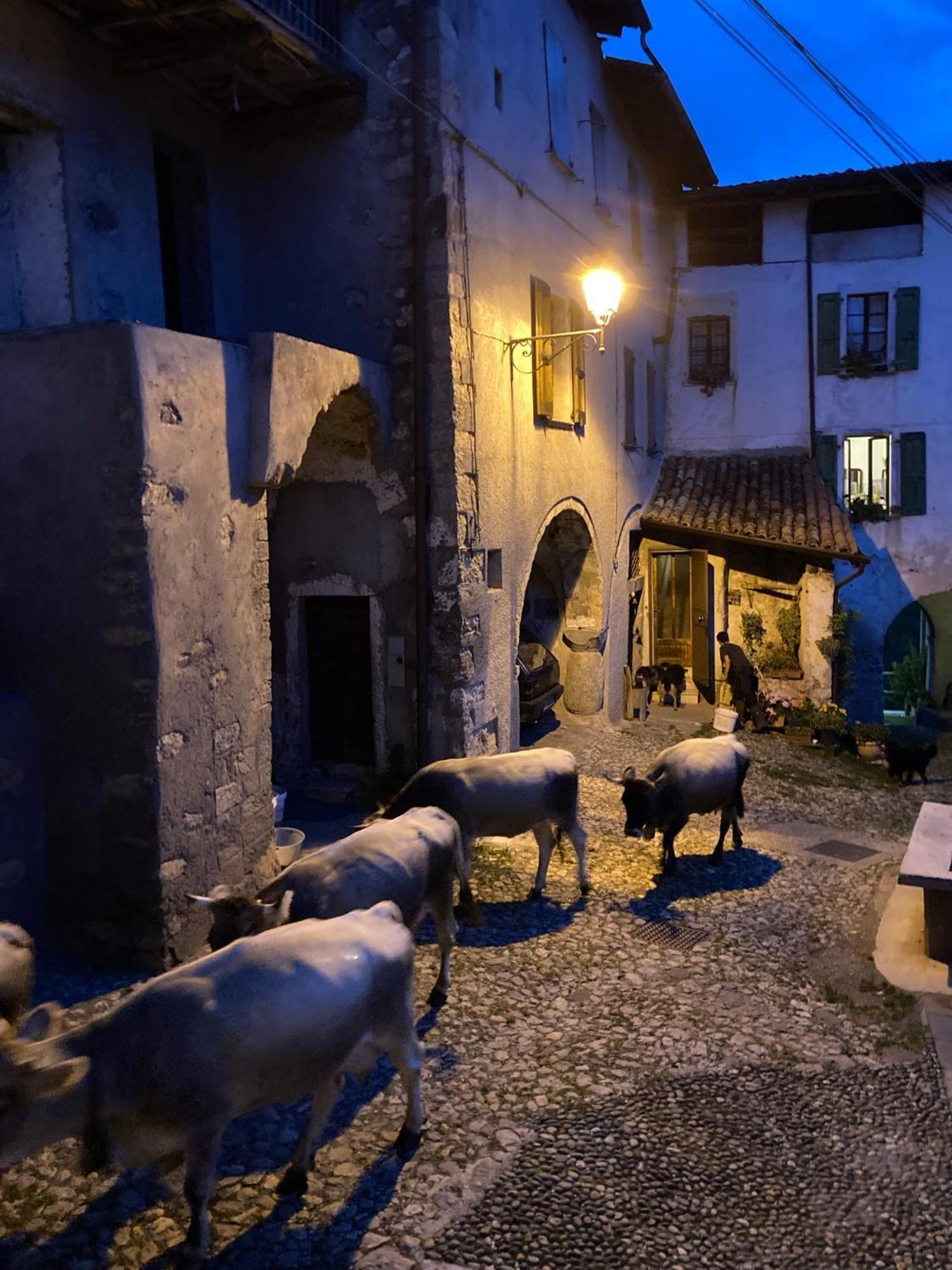 Bed and Breakfast A Casa Di Gianni E Mari Vestone Экстерьер фото